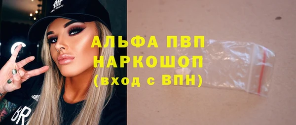 сатива Карпинск