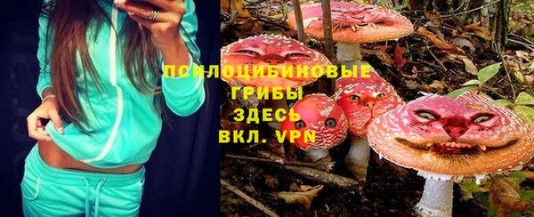 сатива Карпинск