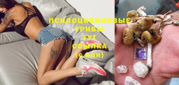 метадон Касимов