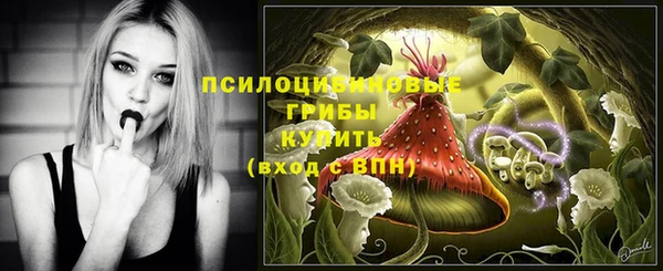 сатива Карпинск